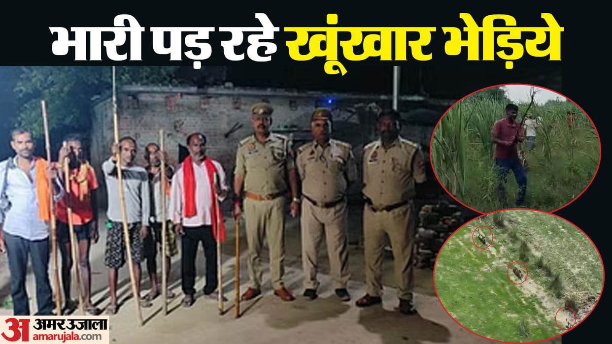 Special task force, drone-trap rooms also helpless Attacks increased after female wolf was caught in Bahraich