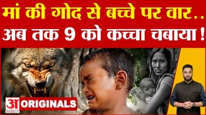 Bahraich Wolf Attack News: The biggest revelation on the terror of wolves in Bahraich! , Operation Bhediya UP