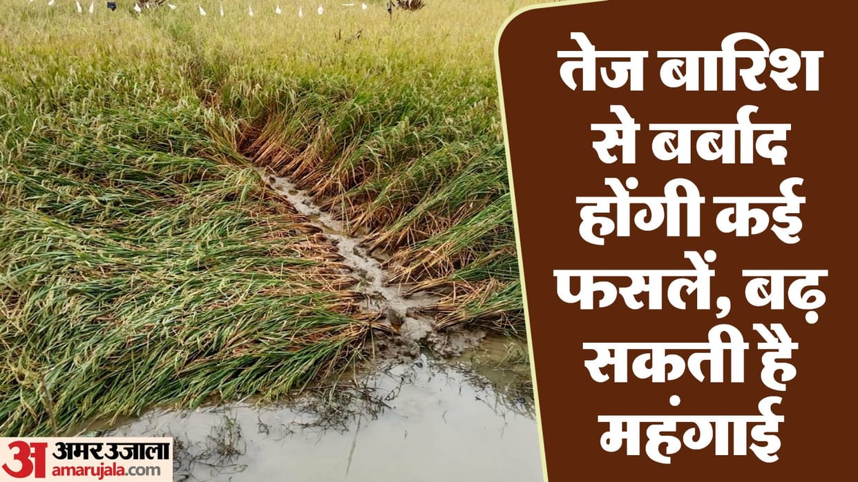 rainy season will continue till the end of September, these crops will benefit while these may suffer losses