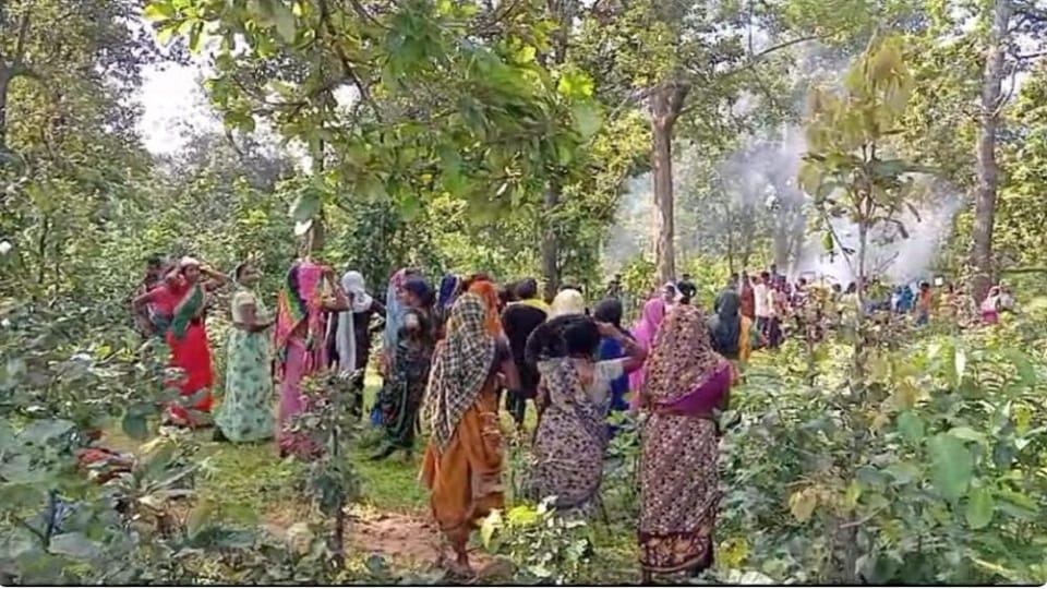 Cutting of trees started in second phase of PKEB coal project villagers are protesting in Ambikapu