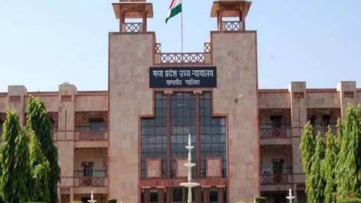 MP HighCourt Now court strict on stray animals roaming on road nine collectors summoned to reply in four weeks