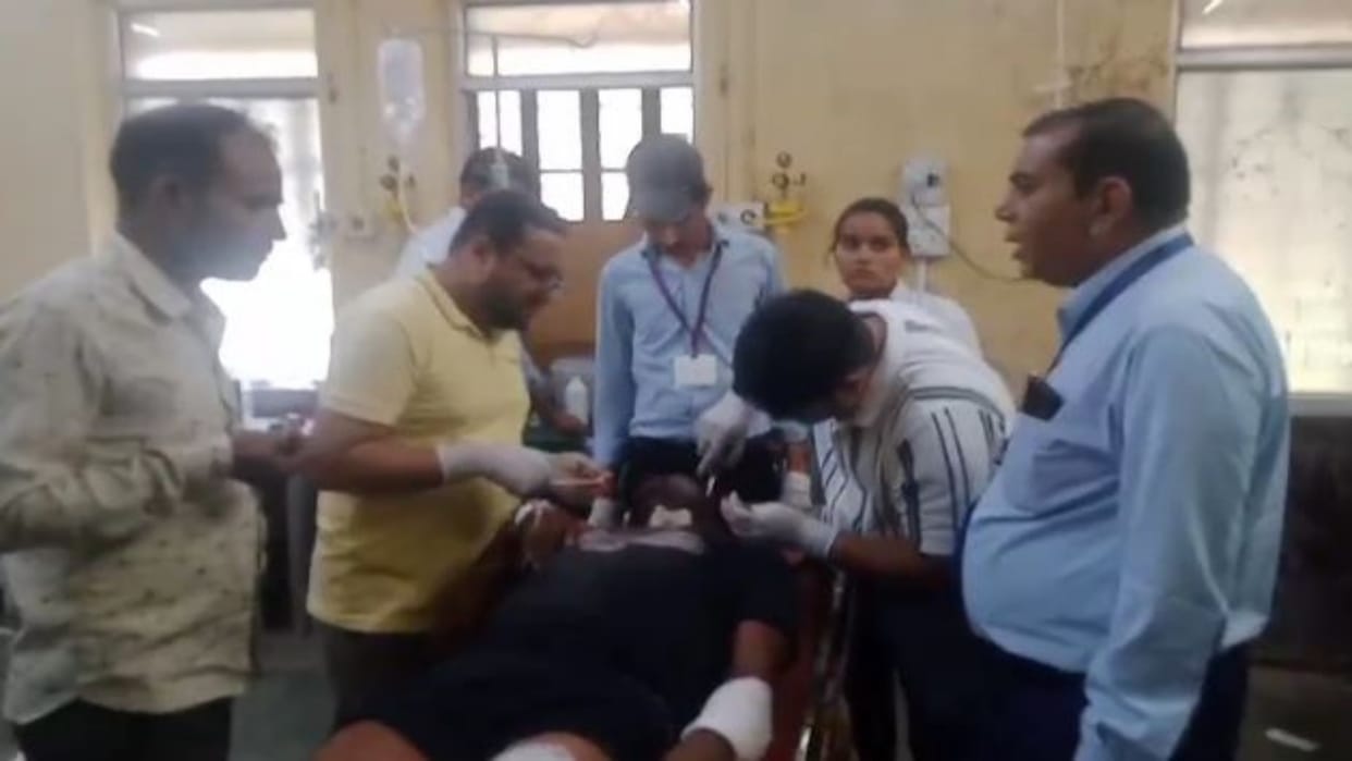 Sawai Madhopur: Tiger attacks brothers who went to graze buffalo, condition of one critical