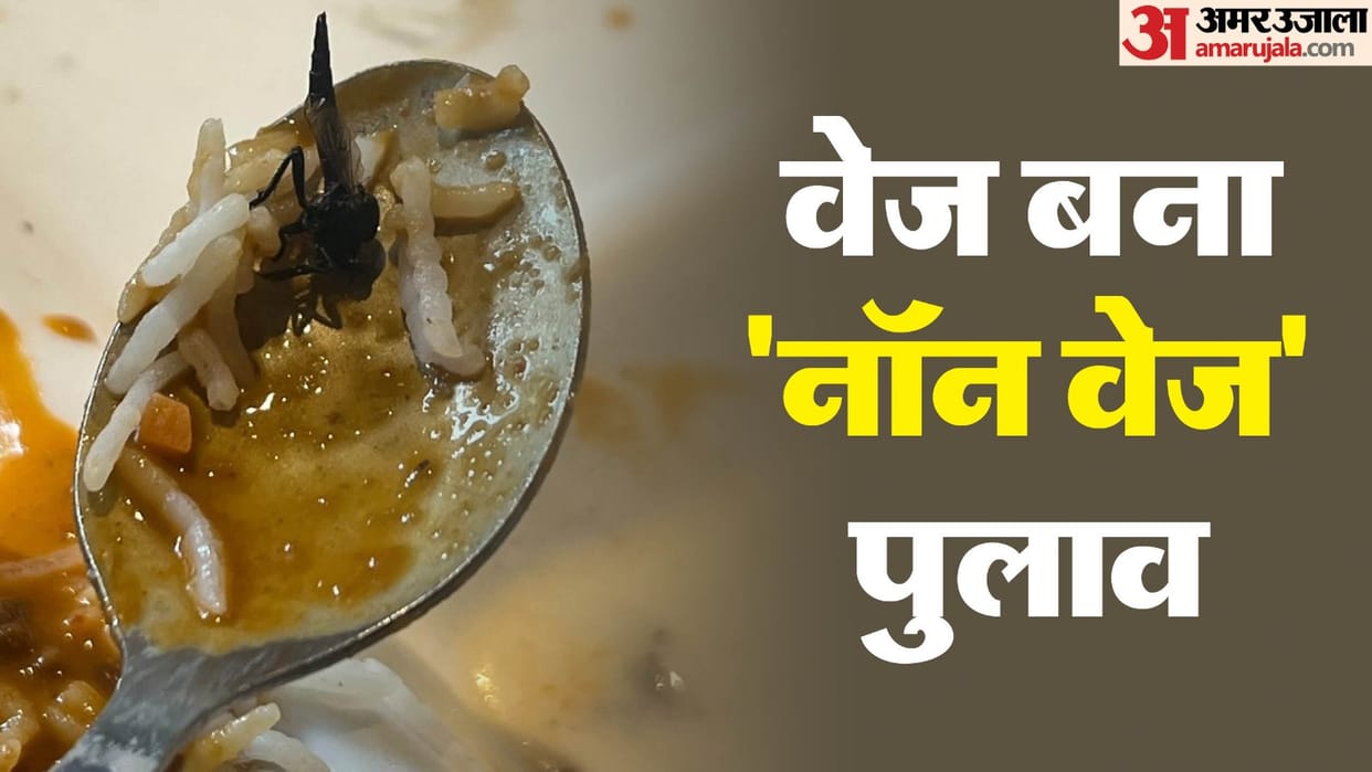 An insect found in veg pulao of a famous restaurant in Noida matter reached to CM Yogi