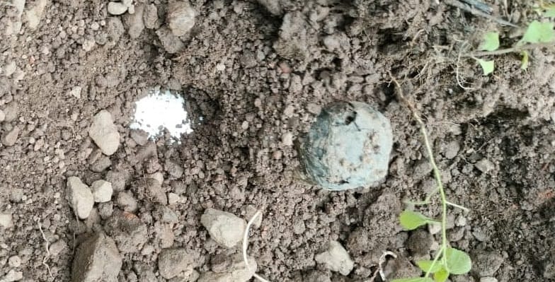 Bihar : Three IEDs recovered from Gaya forest, Naxalites had hatched a big conspiracy against security forces
