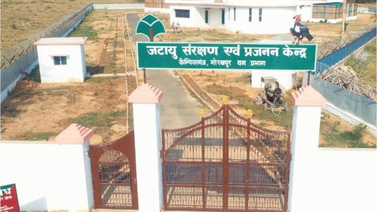 CM Yogi will honor teachers in Gorakhpur today, inaugurate Vulture Conservation Center tomorrow
