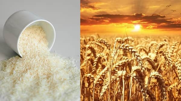 185 countries Five billion people suffering from iodine vitamin-E calcium deficiency India situation also bad