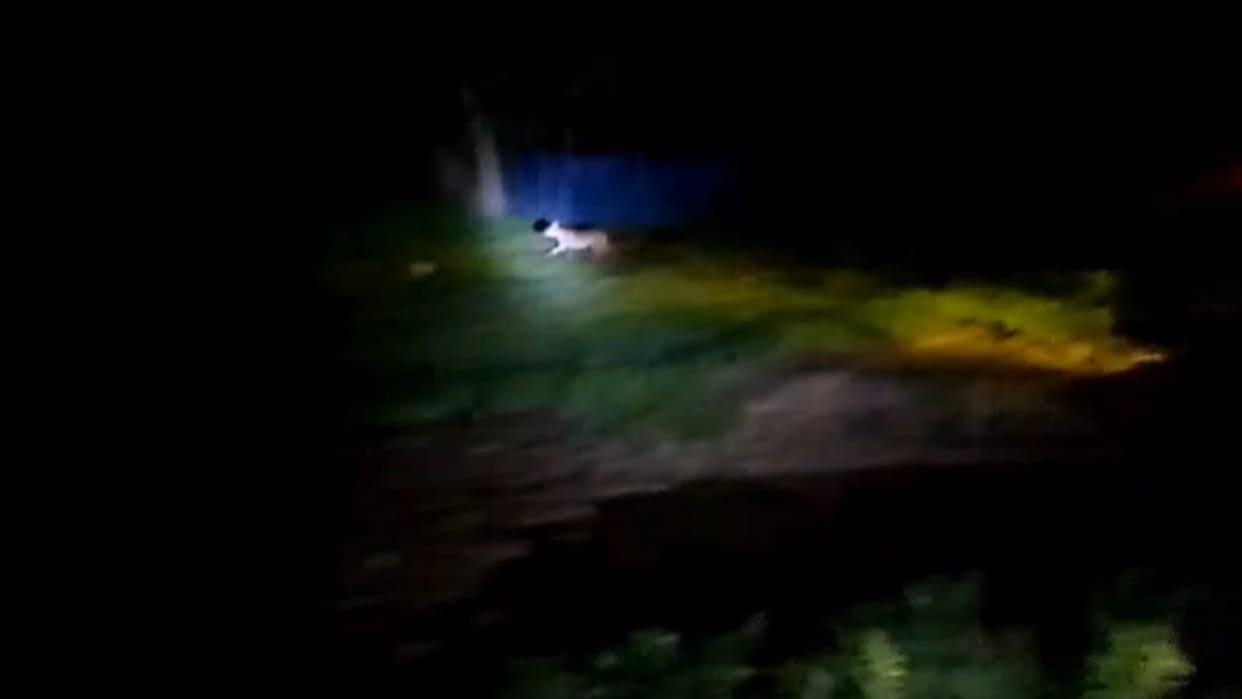 Bahraich: Wolf attacks on easy target in group of people.