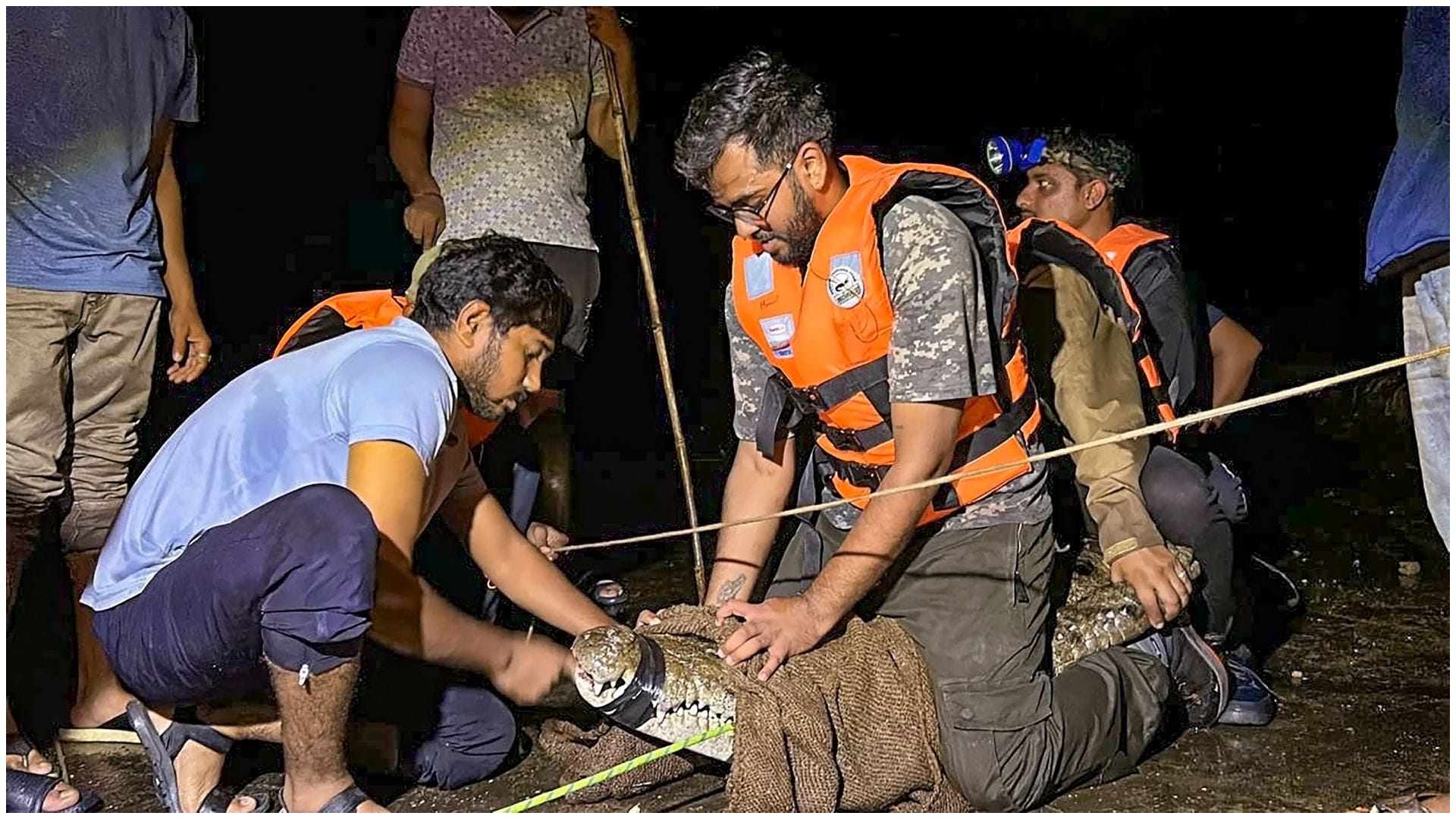 Gujarat rains: 24 crocodiles rescued from Vadodara residential areas between 27 to 29 Aug