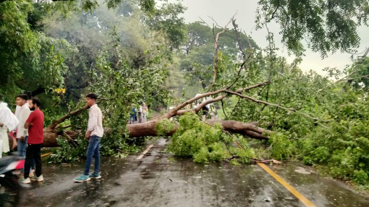 Weather: Storm in Himachal Pradesh