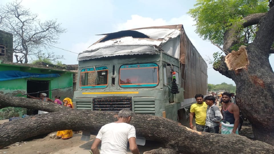 Branch broken due to truck collision