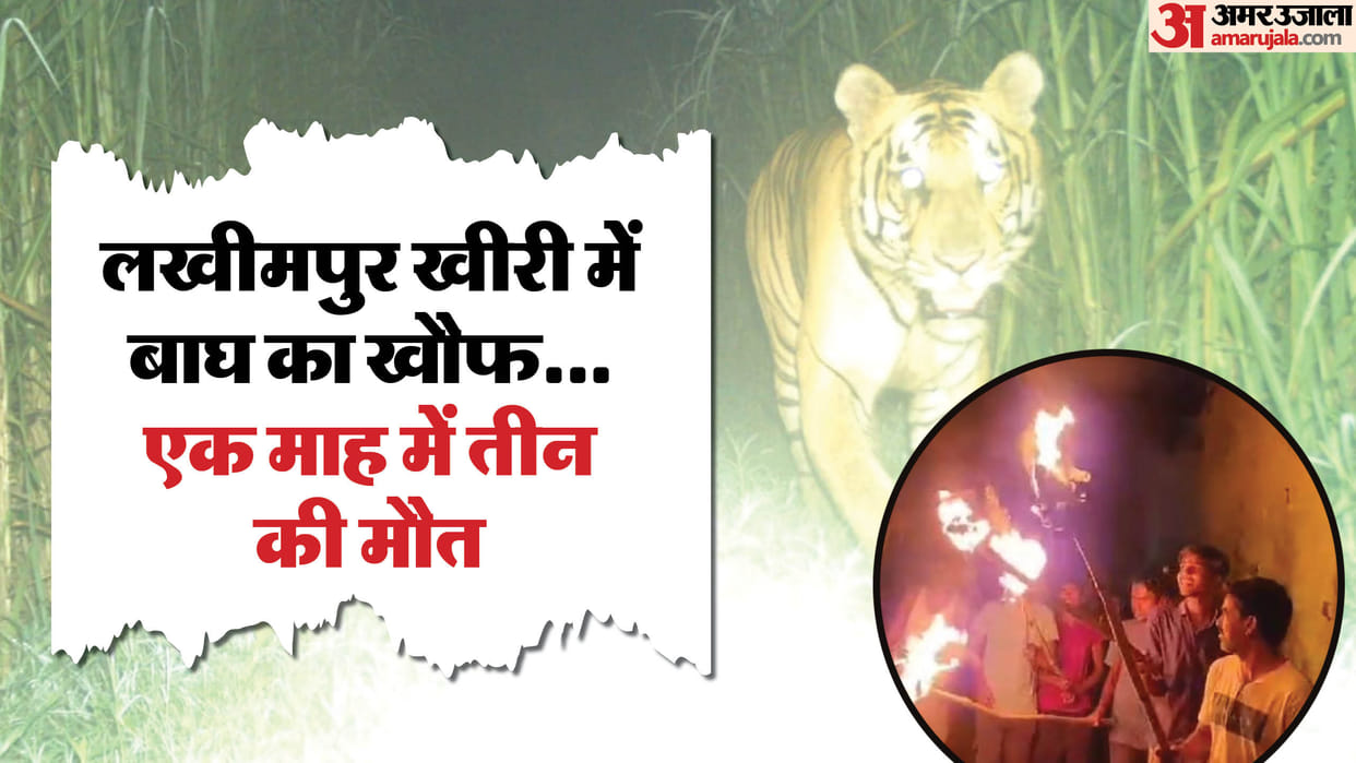 Villagers losing sleep due to fear of tiger in Lakhimpur Kheri