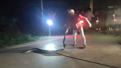 Villagers kept playing such a game with a giant python in middle of road surprised to see video