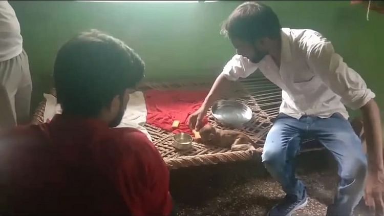 UP: एटा के मारहरा में 4 दिन से चारपाई में फंसा था बंदर, निकालने की हिम्मत नहीं जुटा पाए लोग; ऐसे किया रेस्क्यू