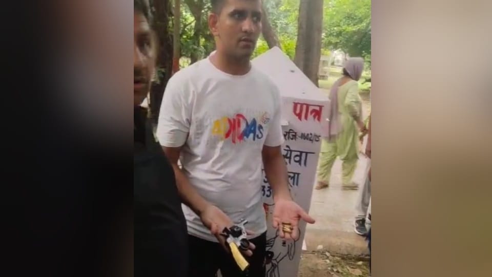Ruckus over donation boxes for cow shelter outside City Park temple, lawyer takes out revolver in Rohtak