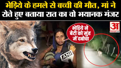 Wolf Attack In Bahraich: Girl dies due to wolf attack, mother cryingly tells the scene of the night. Breaking