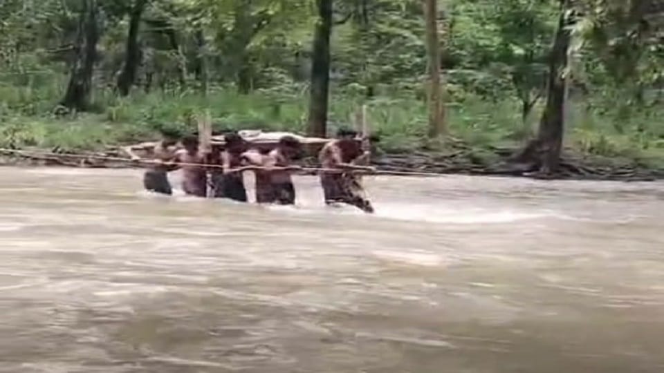 खाट पर लादकर बीमार महिला को पार कराया  नाला