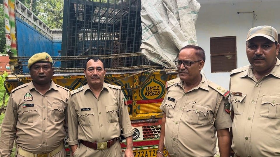 Rampur: Leopard trapped in a cage, forest department team was chasing it