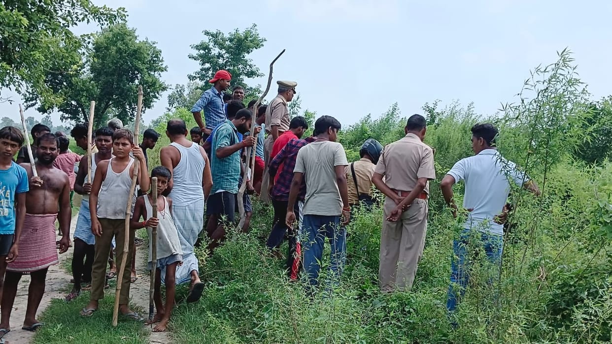 Three injured in an animal attack in Barabanki.