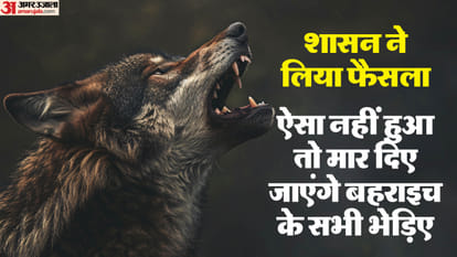 Bahraich: Government has made a special plan to eradicate wolves, if they are not tranquilized then they will