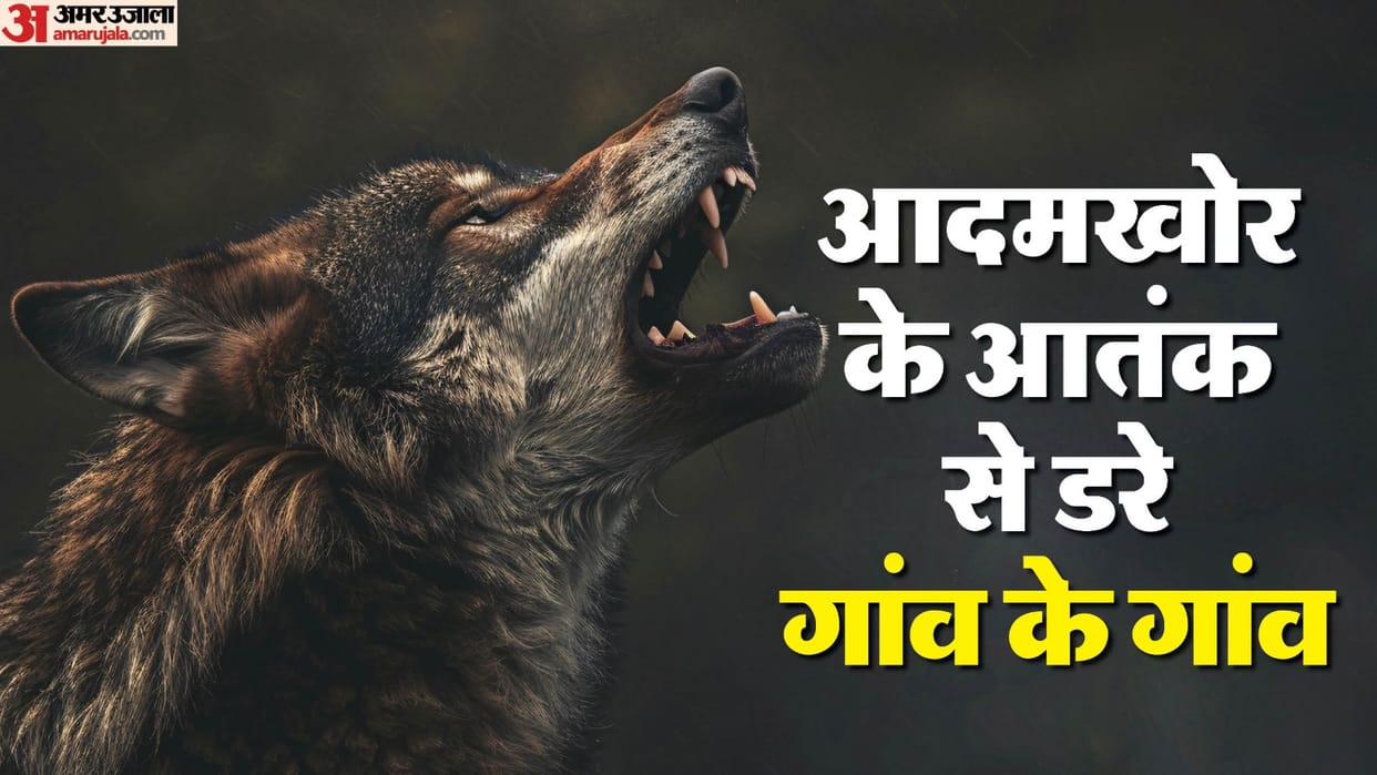 Three farmers were attacked by wolves in Bareilly