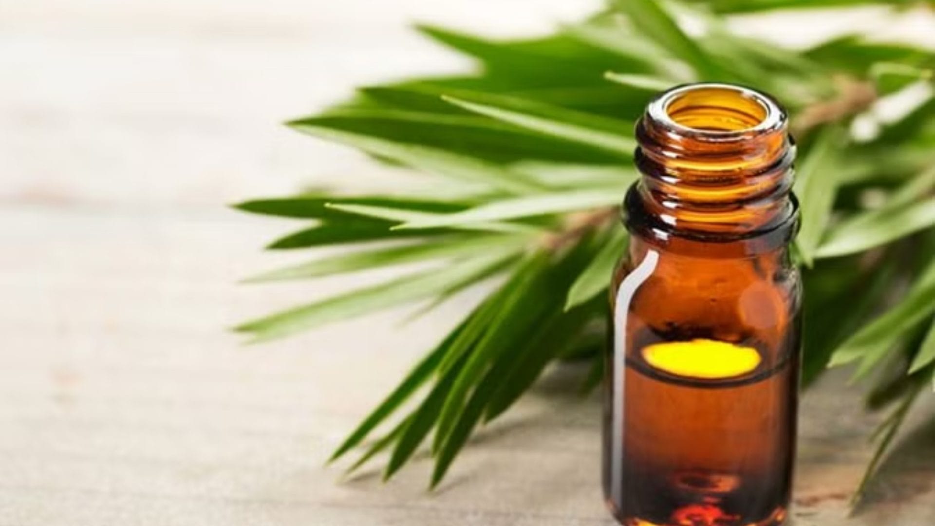 Hair Care Tips home remedy for itching on head in hindi