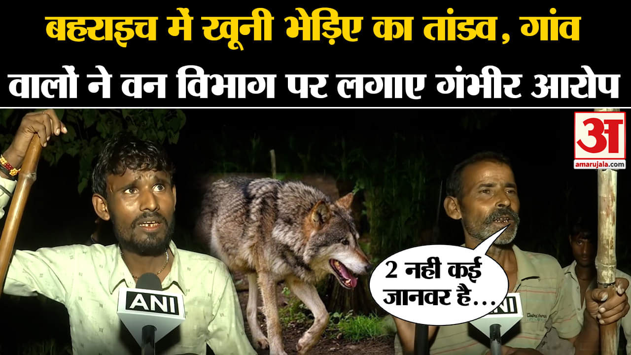 भारत समाचार