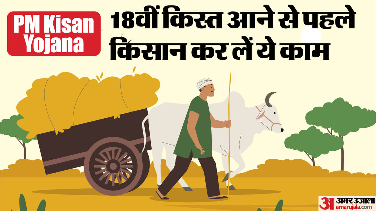 PM Kisan Nidhi: 18th installment may get stuck due to these mistakes
