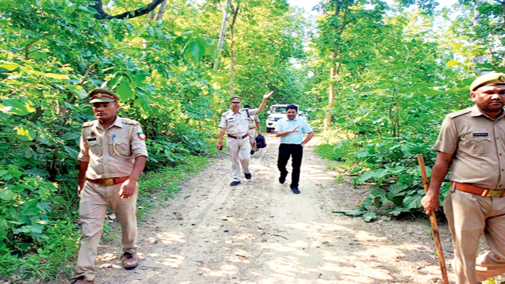 Beware of wolves: Alert in five districts including Meerut after attacks in Bahraich