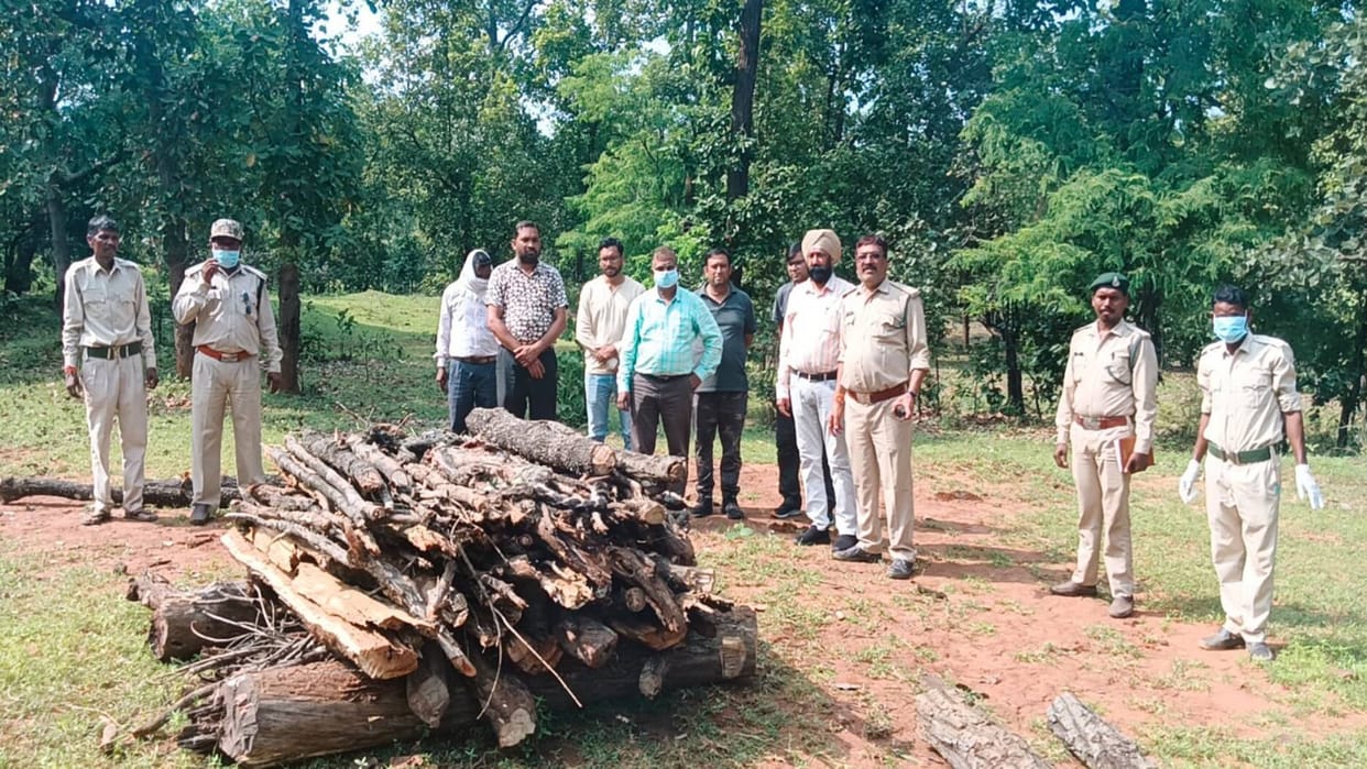 Umaria News Leopard dies under suspicious circumstances forest department team is investigating