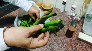 Rajasthan: High Court raids canteens running without license, found they were serving expired goods