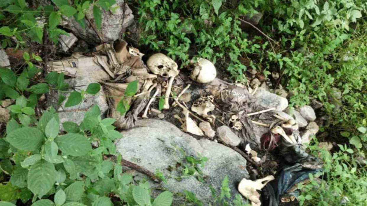 Kekri News: Two skeletons found in the forest area of Bisalpur, police engaged in investigation