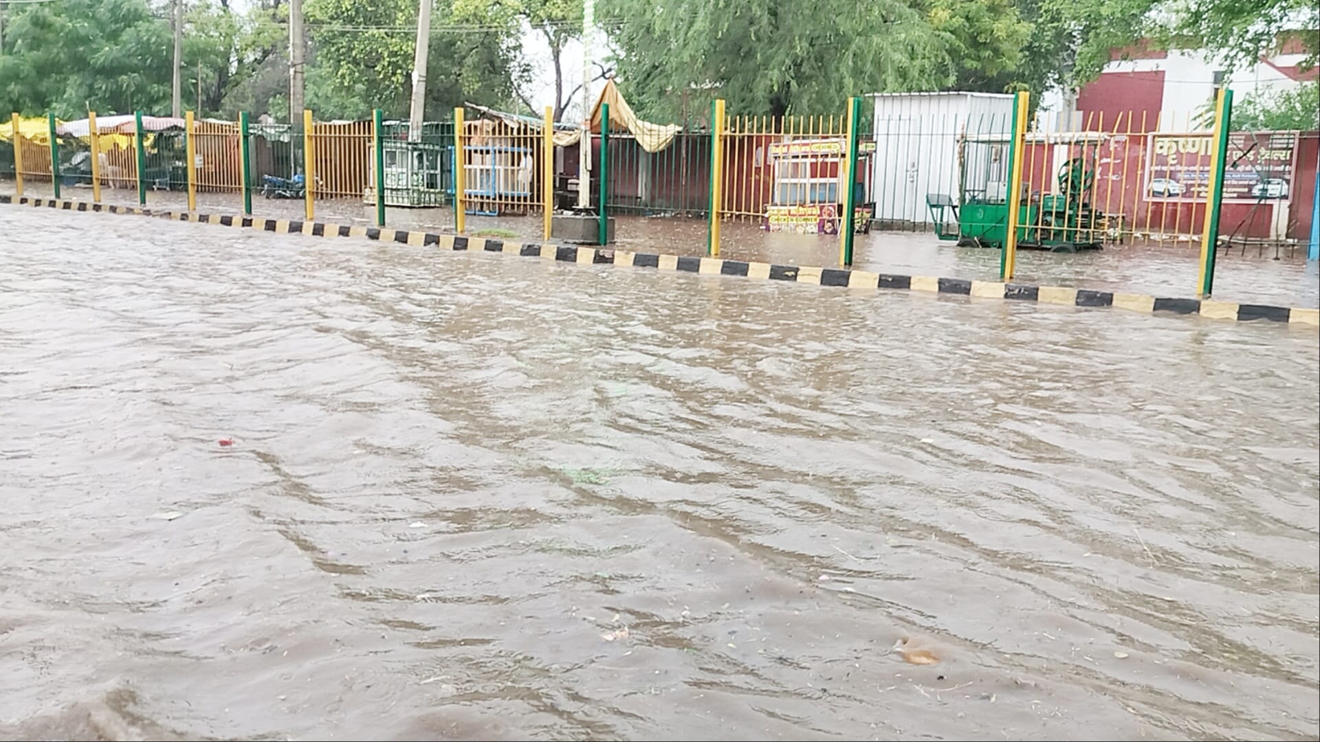 Haryana Rain Photos: Monsoon gained momentum, light to moderate rain occurred in 10 districts