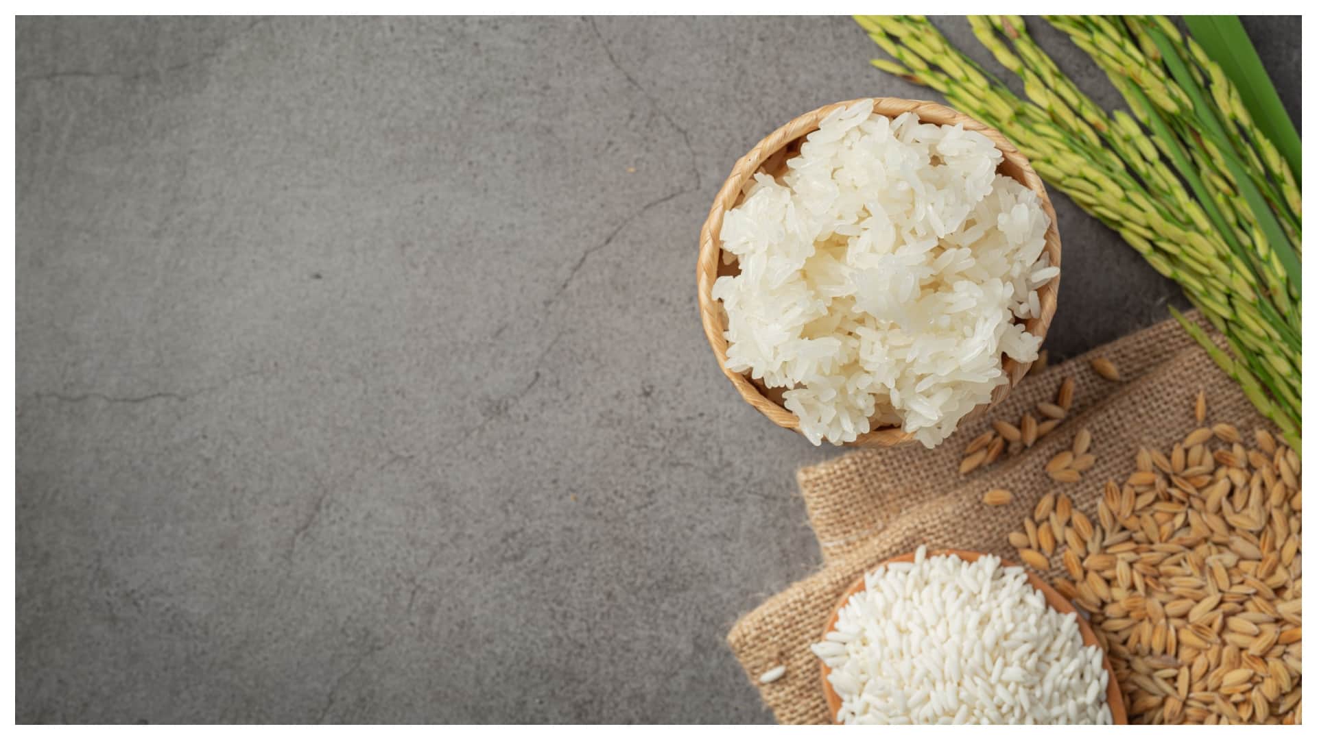 Does eating rice every day increase body fat Know the Science behind this in hindi