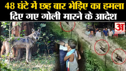 Bahraich Bhediya News: Wolf attacked six times in 48 hours, orders given to shoot