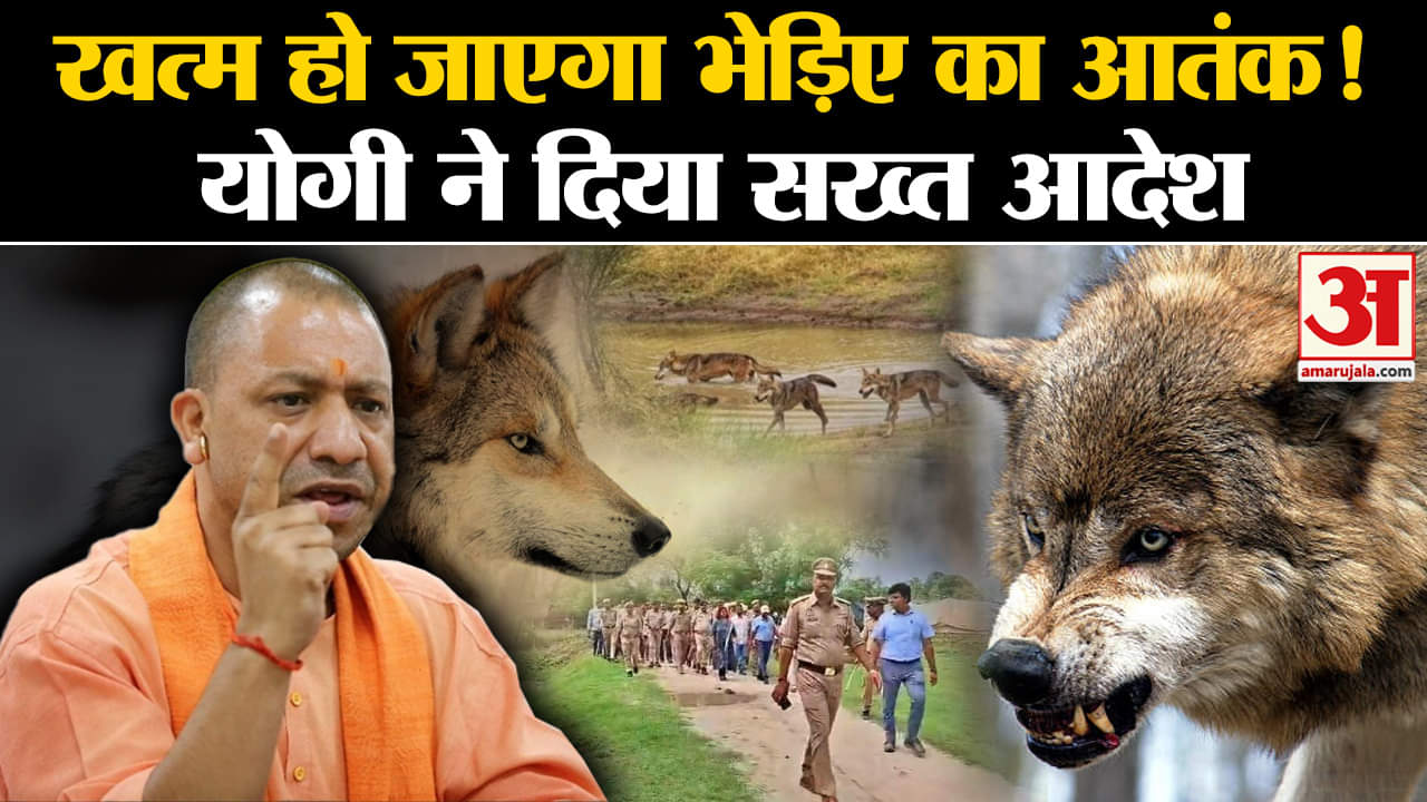 Bahraich Wolf Attack: खत्म हो जाएगा भेड़िए का आतंक, CM ने दिया सख्त आदेश!  | Amar Ujala