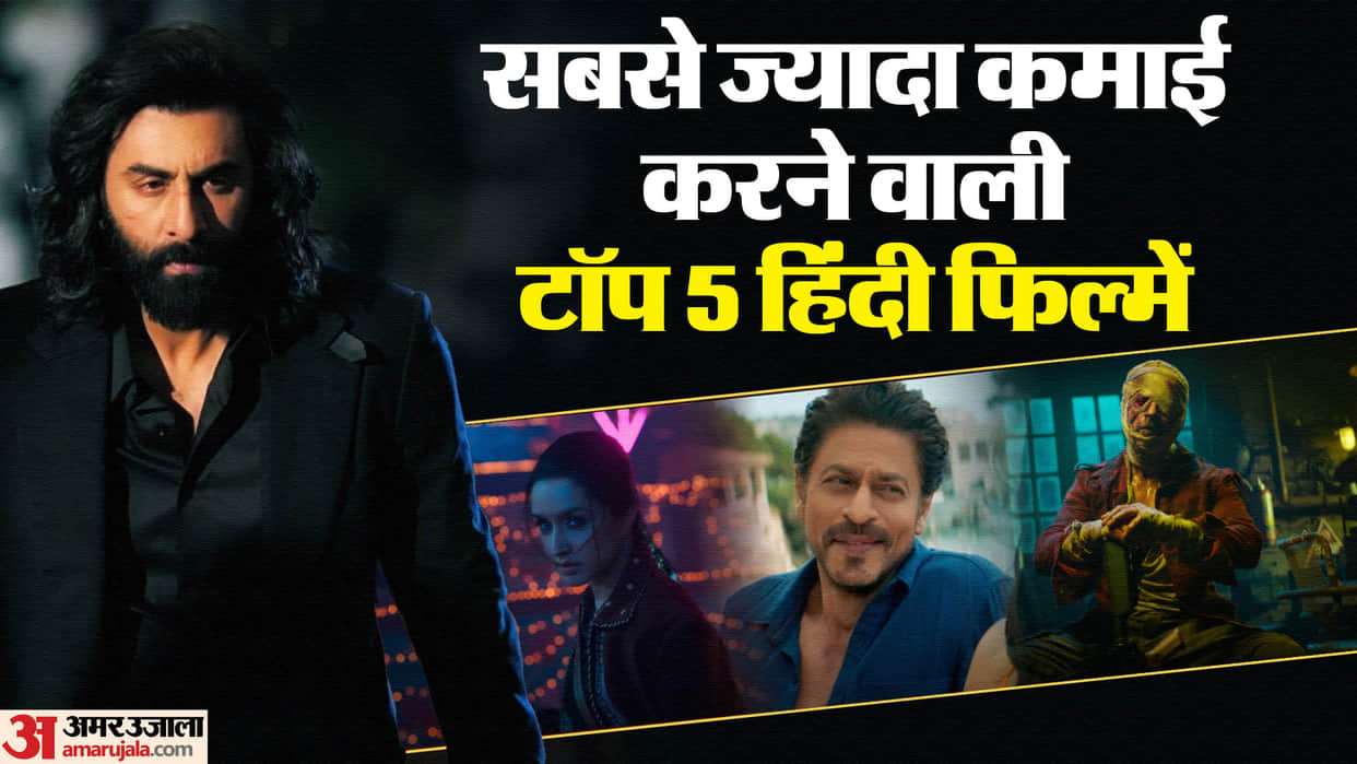 Top 5 Bollywood Highest Earning Movies Jawan Animal Pathaan Gadar 2 Stree 2