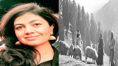 Himachal will be seen in Busan Film Festival, second chance movie