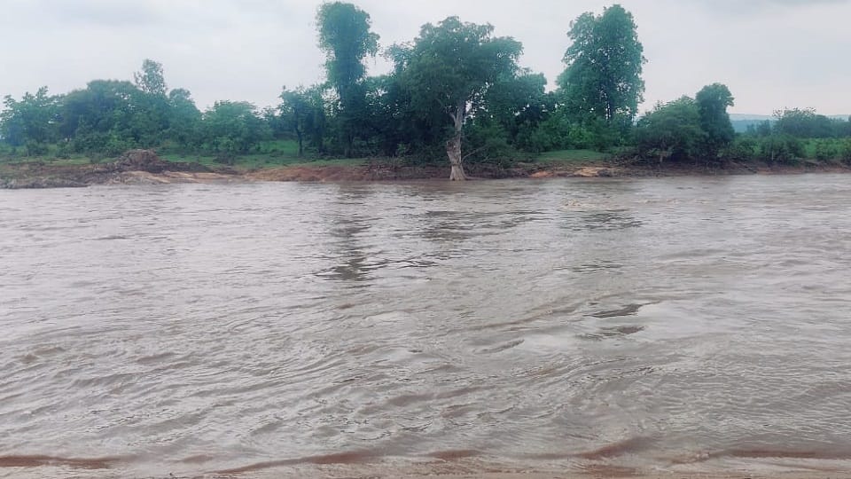 body of a villager who was swept away in Chintavagu was found after 18 hours in Bijapur