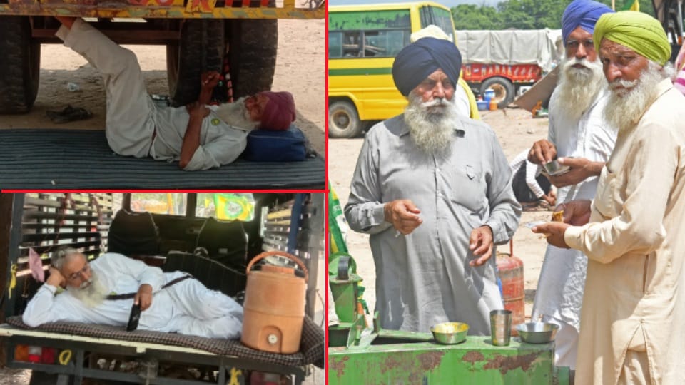 Kisan Andolan in chandigarh see pics