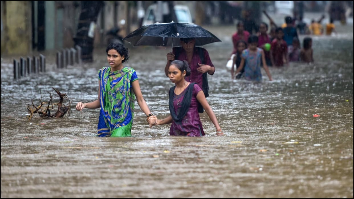 Maharashtra marathwada region heavy rains crops destroyed news in hindi