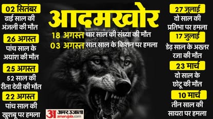 Bahraich Wolf Attack UP Govt shoot and sight order law in india news in hindi