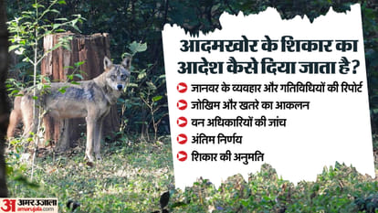 Bahraich Wolf Attack UP Govt shoot and sight order law in india news in hindi