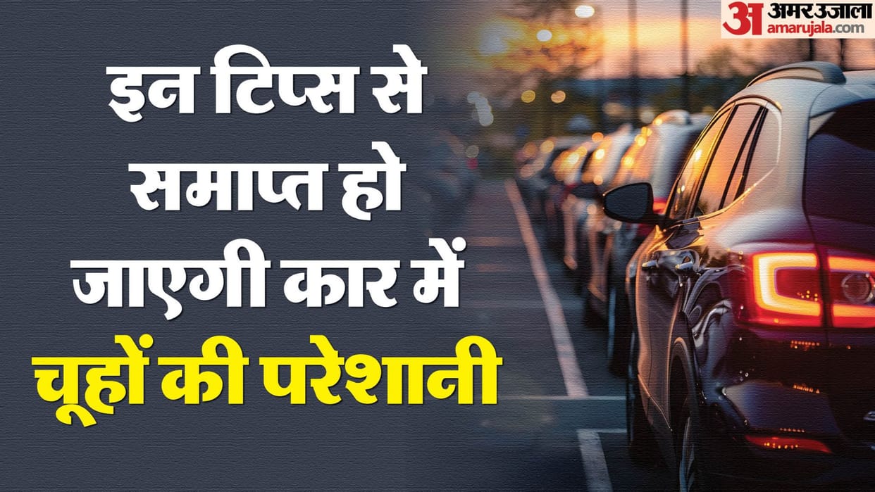 how to keep rats away from cars during monsoon know the tips