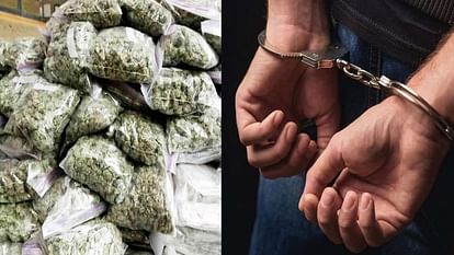 handicapped person was sent to jail after being called a hashish smuggler, inspector also accused of misdeed