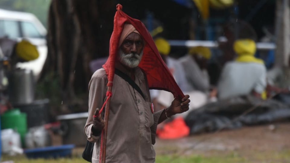 38.37 lakh farmers of Punjab have a debt of Rs 1.04 lakh crore revealed in RBI report