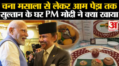 PM Modi lunch with brunei sultan at grand Brunei Palace