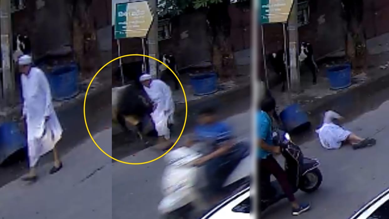 Meerut: In front of the state minister's residence, a bull threw an old man in the air