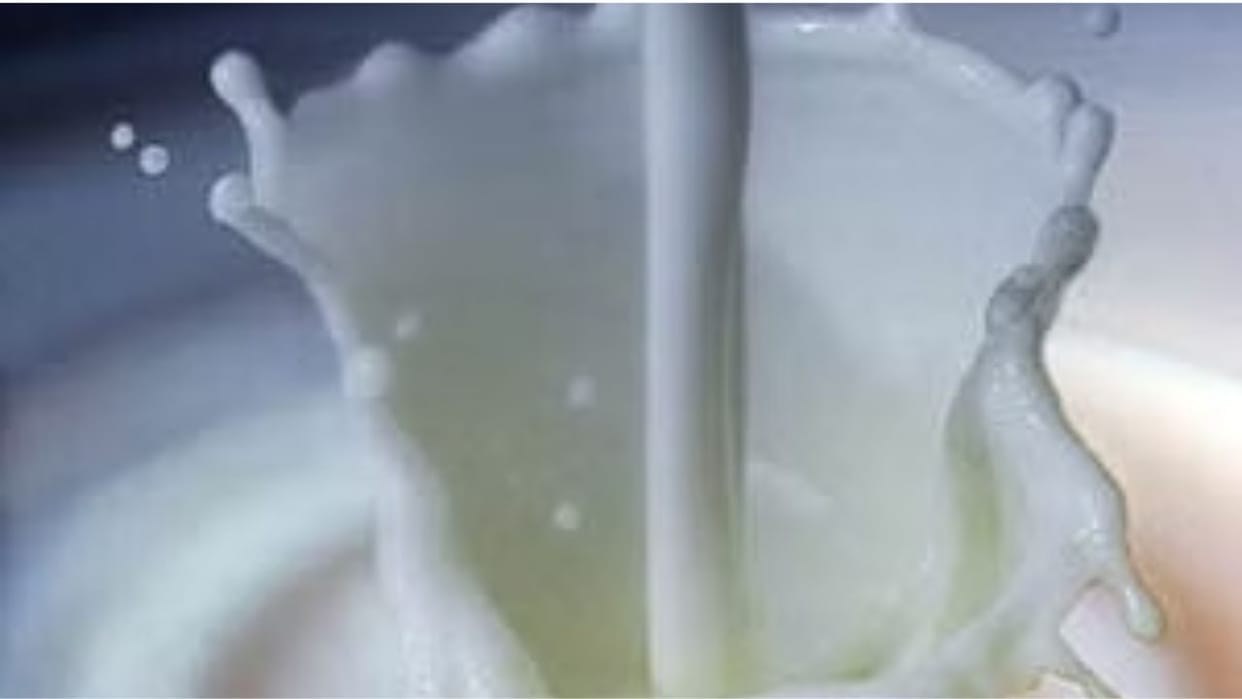 After the price hike milk purchase increased by 50 thousand liters in Milkfed