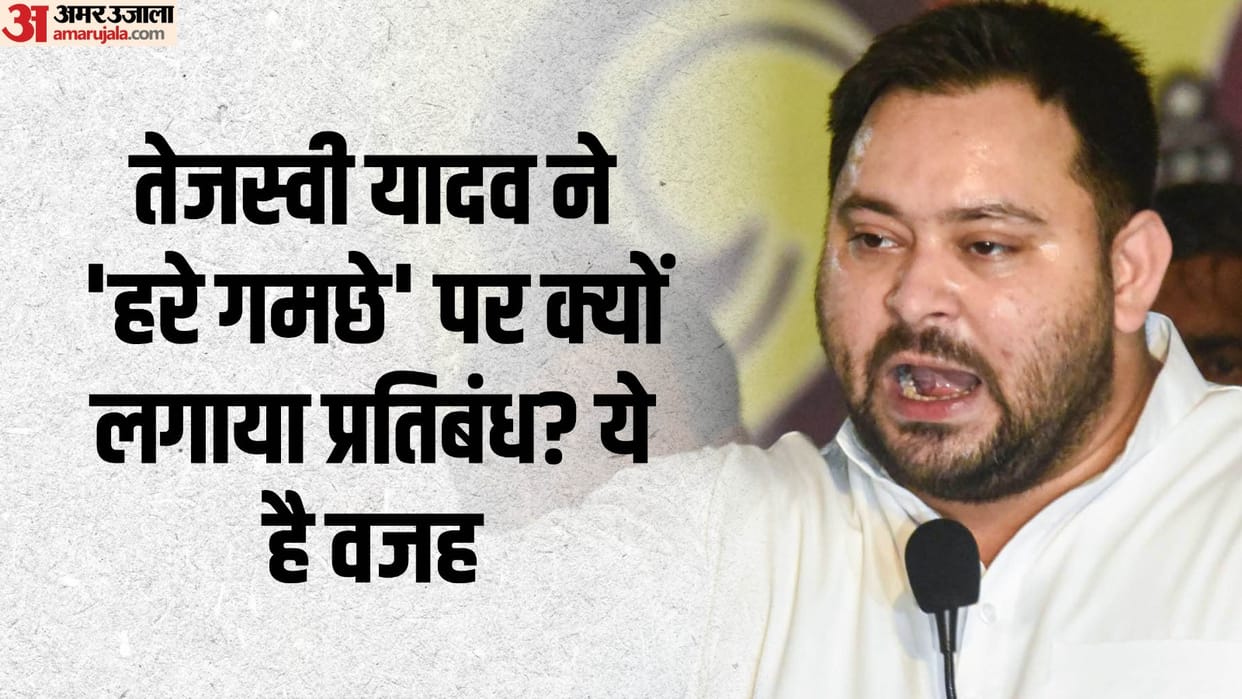 Bihar Politics Tejashwi Yadav Green Gamchha Rashtriya Janta Dal Lalu Prasad Yadav style news and updates