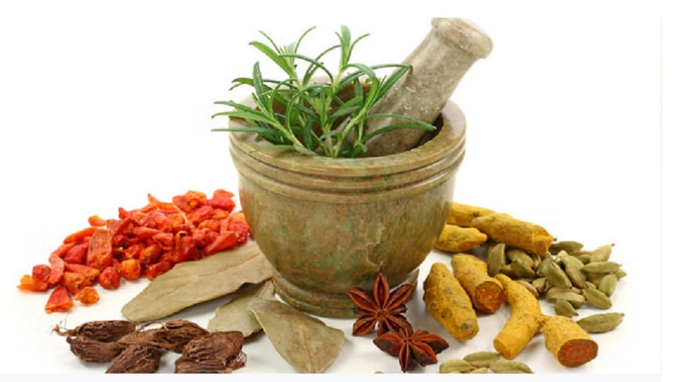Dehradun: International Ayurveda conference will be held for the first time in Uttarakhand.